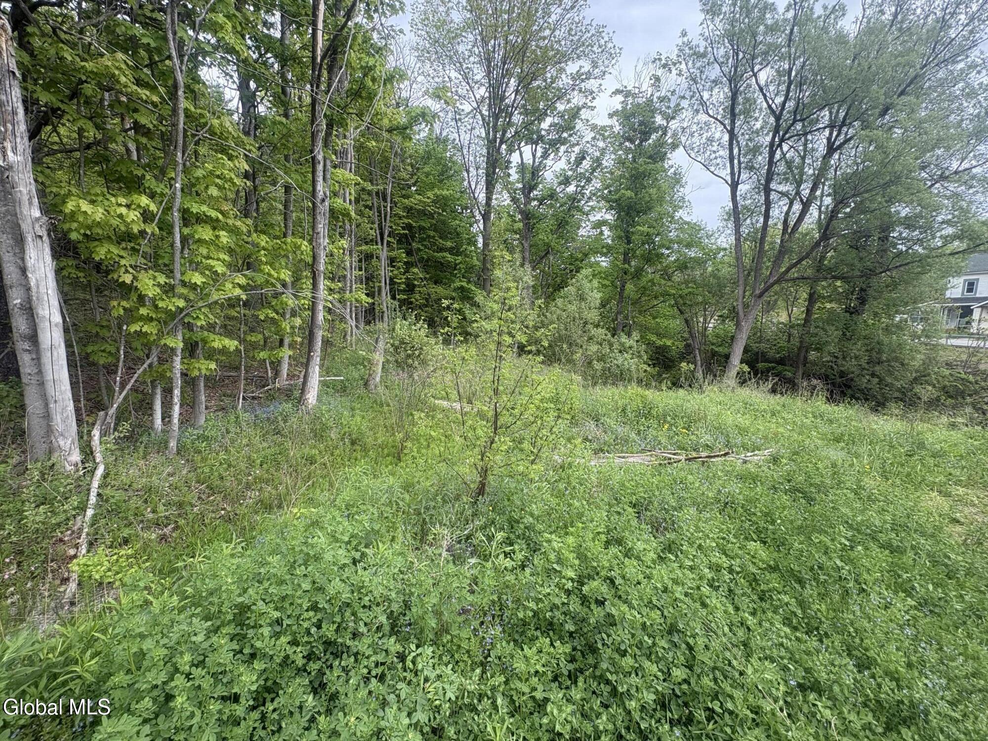 1 Mariaville Road Pattersonville, NY 12137 - Photo 2 of 25 IMG_3956