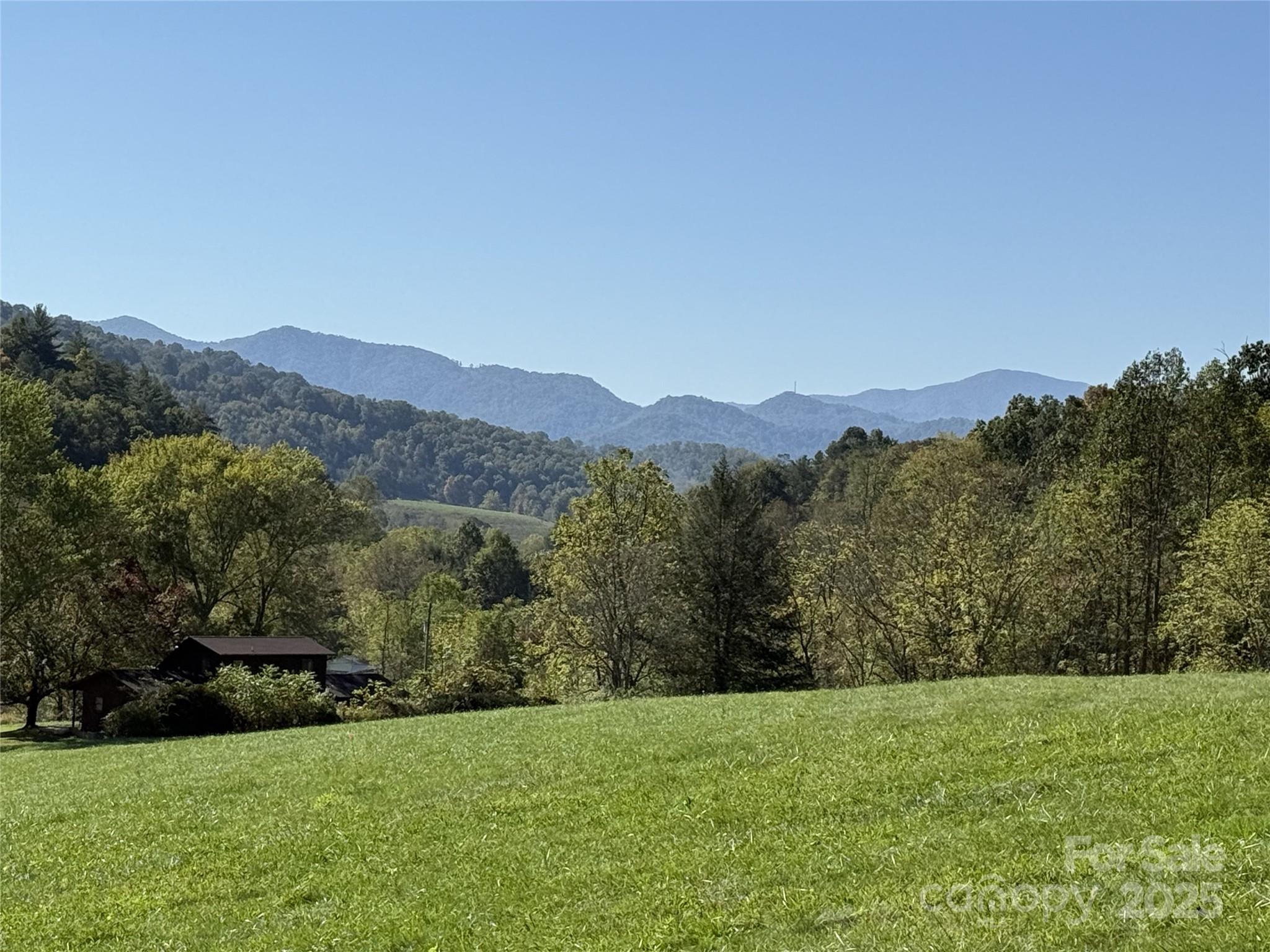 132 Hurd Road Canton, NC 28716 - Photo 1 of 46 a view of a lush green hillside and a houses