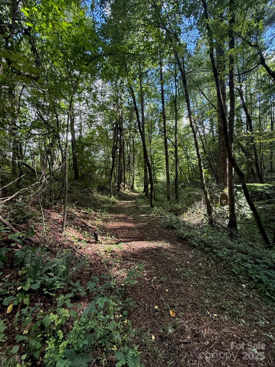 132 Hurd Road Canton, NC 28716 - Photo 12 of 46 a view of outdoor space with trees all around