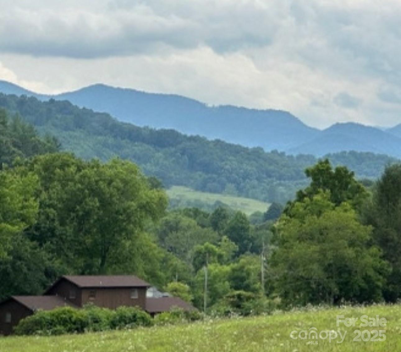 132 Hurd Road Canton, NC 28716 - Photo 2 of 46 a view of a mountain