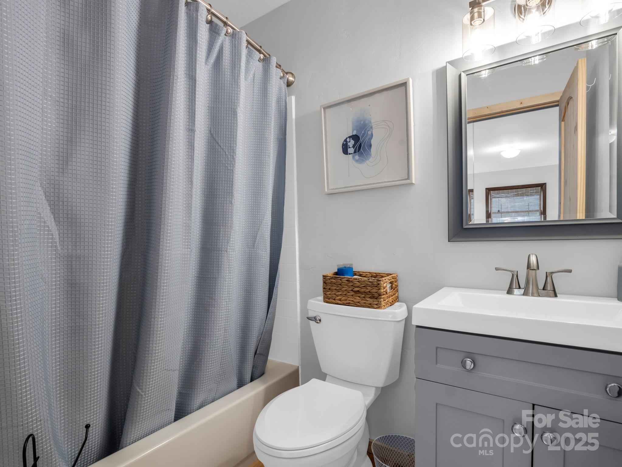 132 Hurd Road Canton, NC 28716 - Photo 32 of 46 a bathroom with a toilet a sink and a mirror