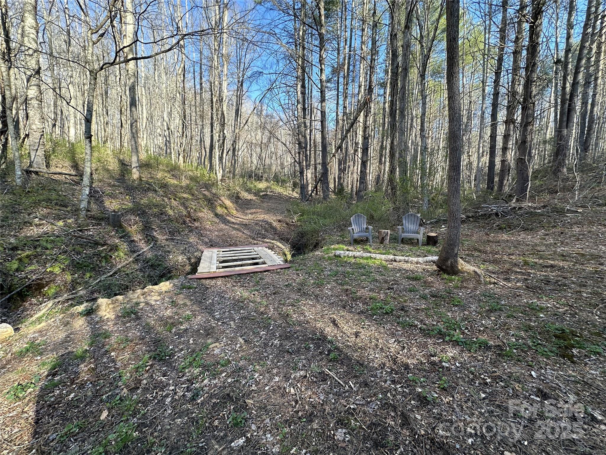 132 Hurd Road Canton, NC 28716 - Photo 38 of 46