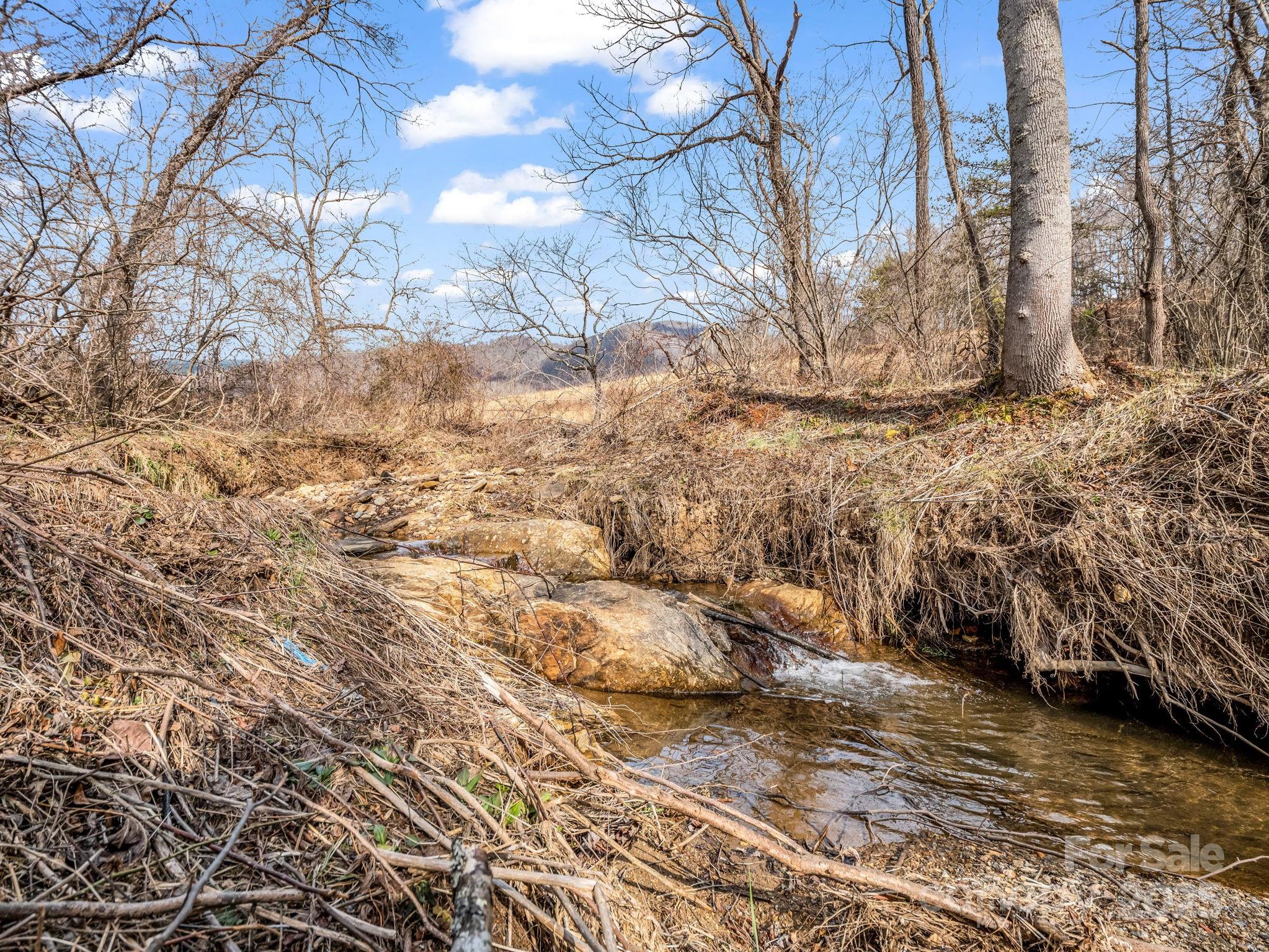 132 Hurd Road Canton, NC 28716 - Photo 39 of 46 a view of yard covered with snow