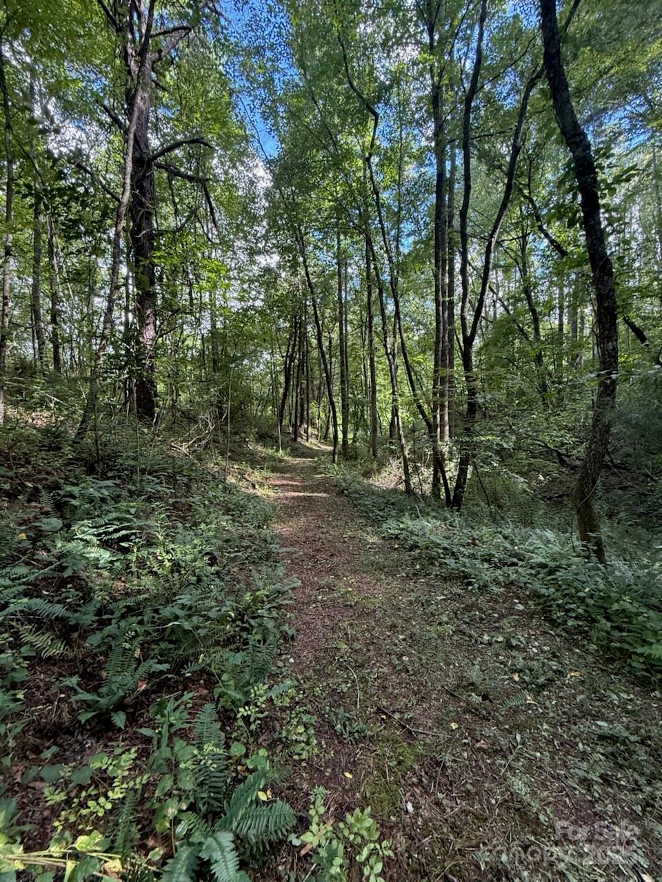 132 Hurd Road Canton, NC 28716 - Photo 40 of 46 a view of outdoor space with lots of trees