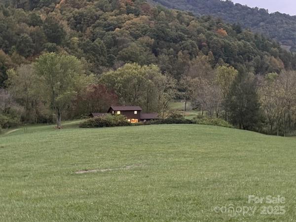 132 Hurd Road Canton, NC 28716 - Photo 42 of 46 a view of a field with trees