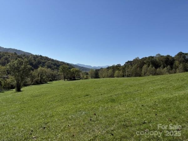 132 Hurd Road Canton, NC 28716 - Photo 43 of 46 a view of field with tall trees