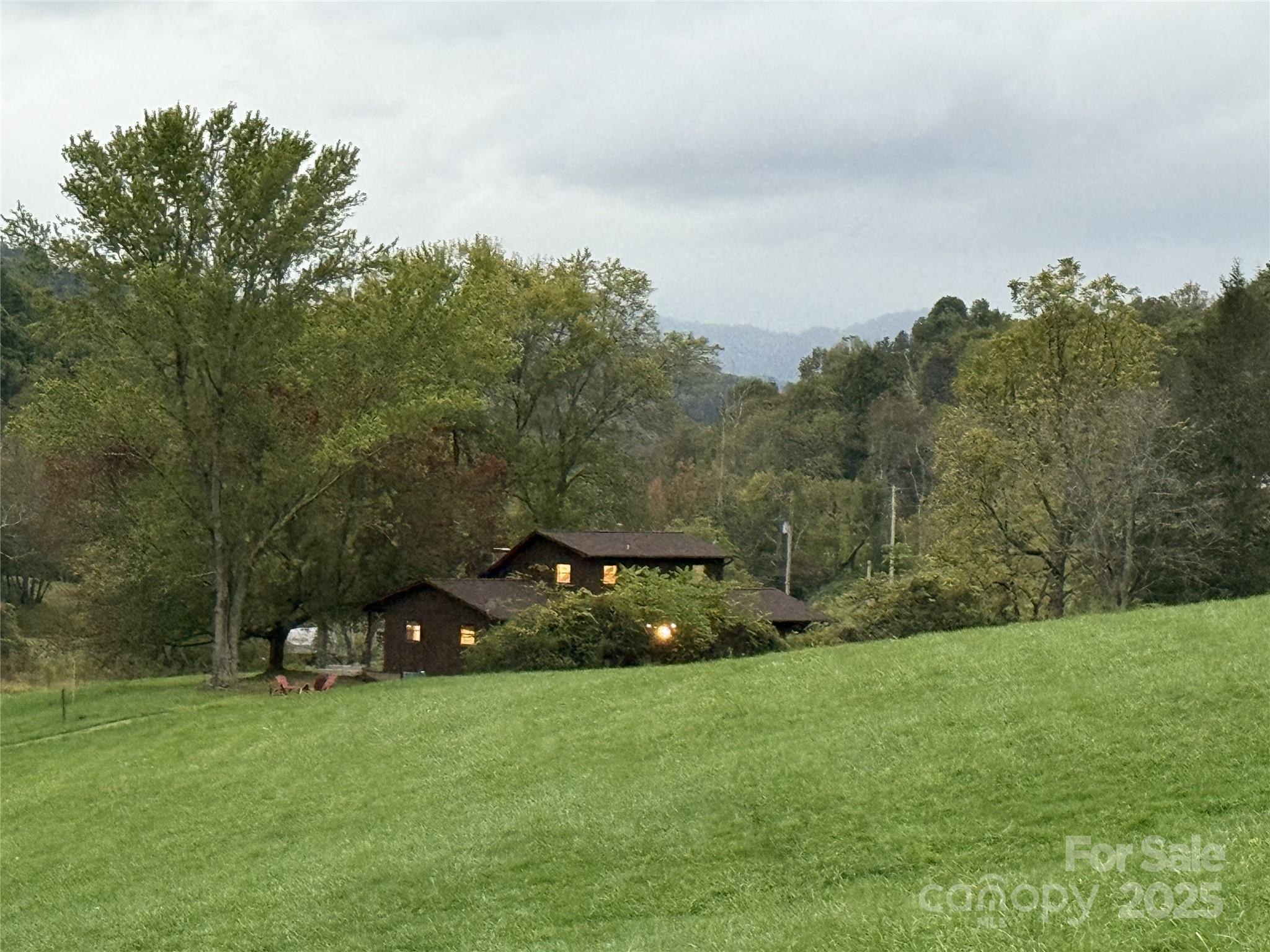 132 Hurd Road Canton, NC 28716 - Photo 44 of 46 a green field with lots of trees in the background