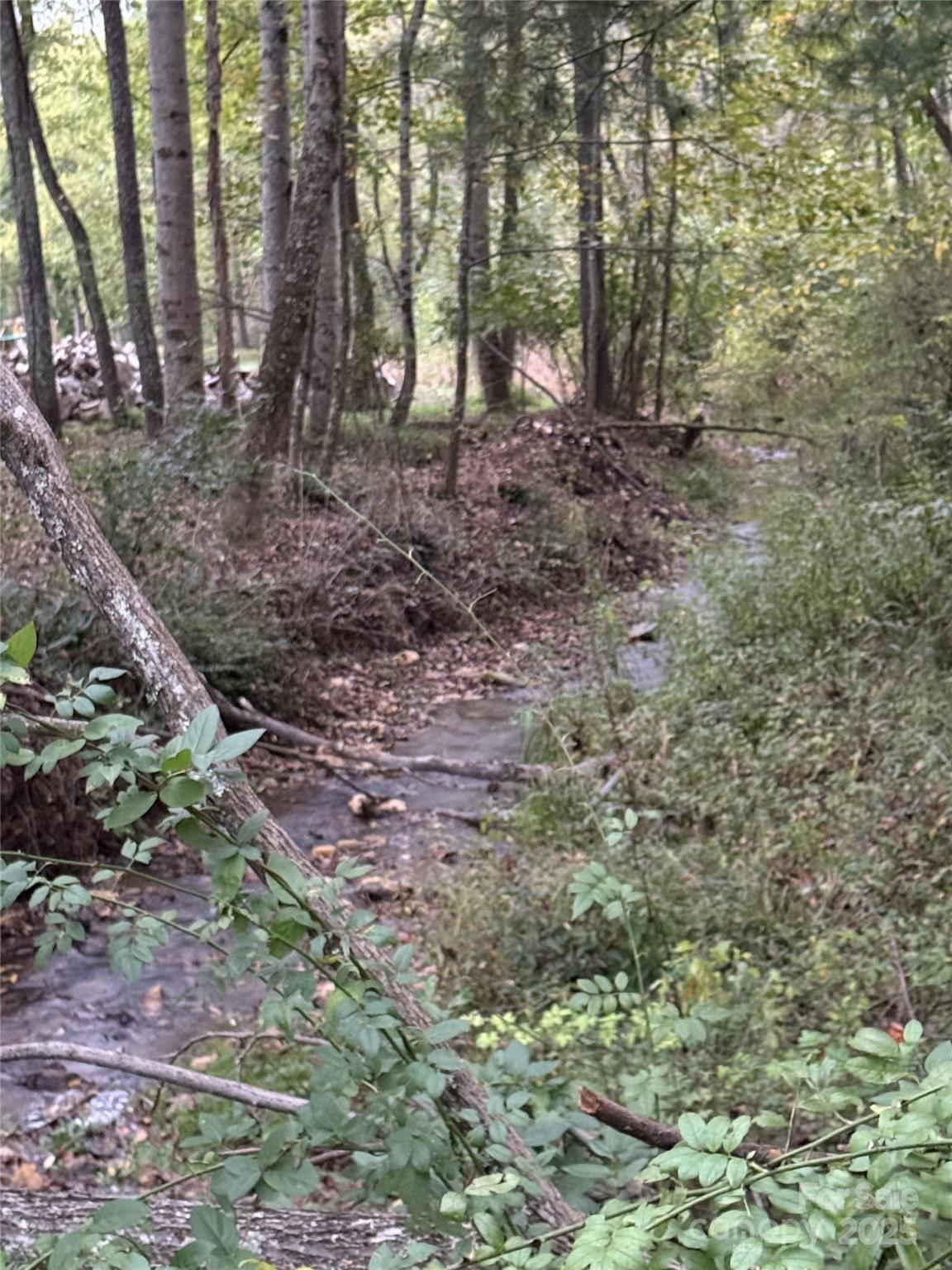 132 Hurd Road Canton, NC 28716 - Photo 45 of 46 a view of a forest with trees