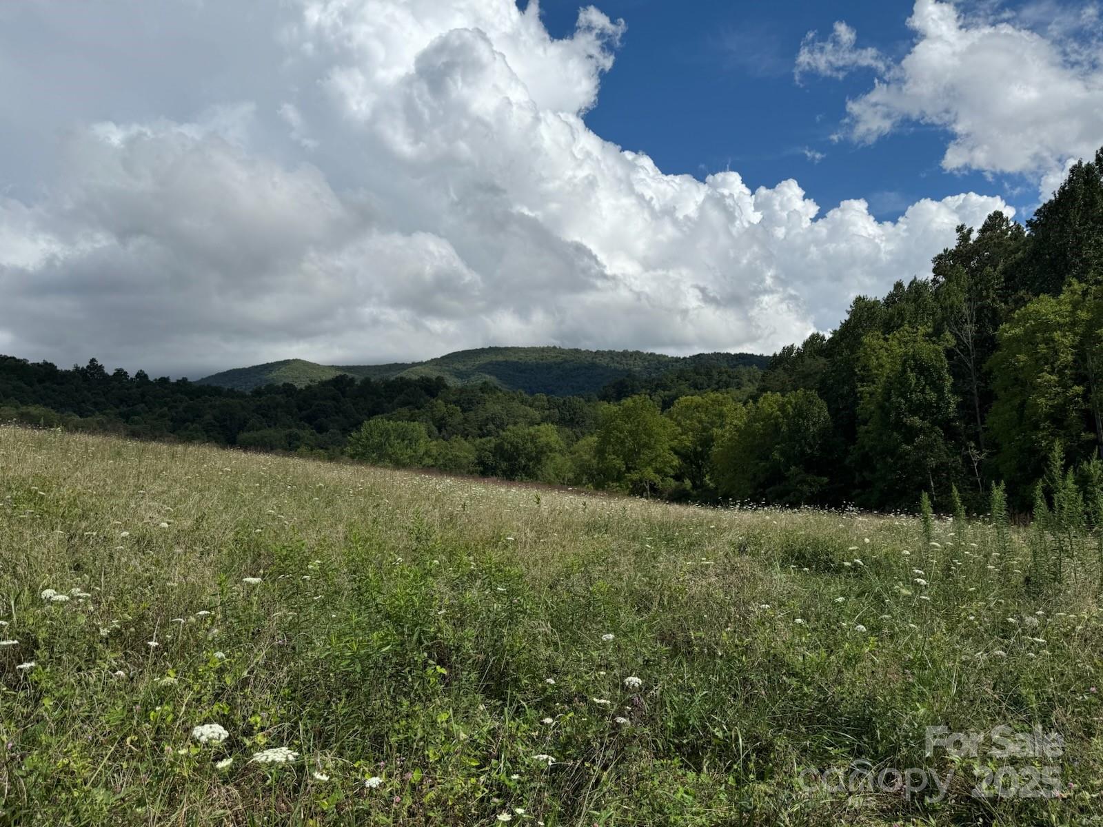 132 Hurd Road Canton, NC 28716 - Photo 7 of 46 a view of outdoor space and yard