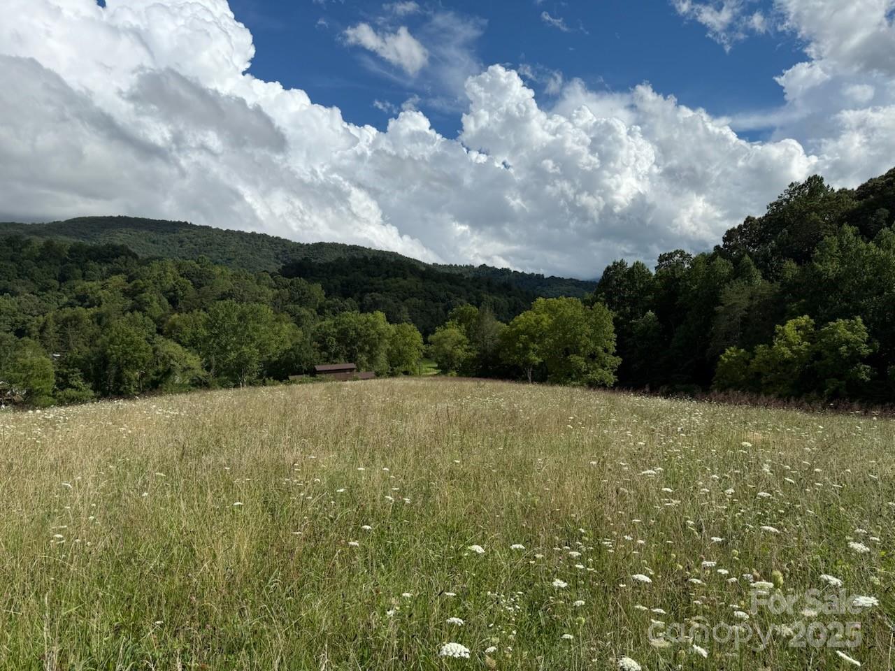132 Hurd Road Canton, NC 28716 - Photo 8 of 46 a view of an outdoor space and a yard