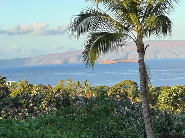 $2,795,000 | 52 Kai Malu Drive, Unit 102 (9B), Kihei, HI 96753