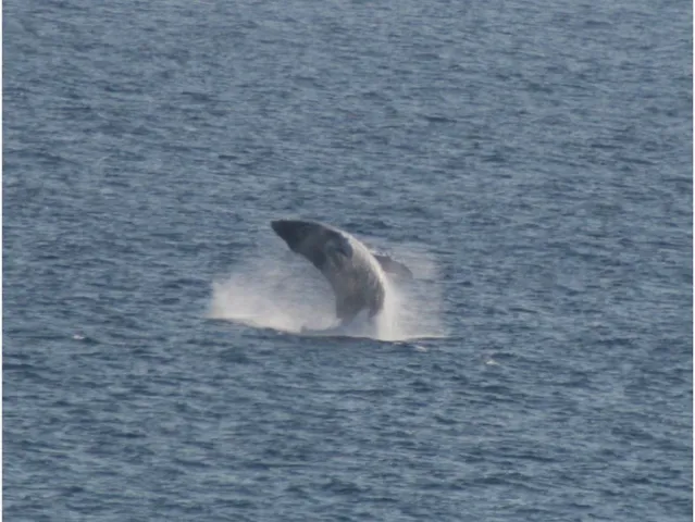 $2,795,000 | 52 Kai Malu Drive, Unit 102 (9B), Kihei, HI 96753