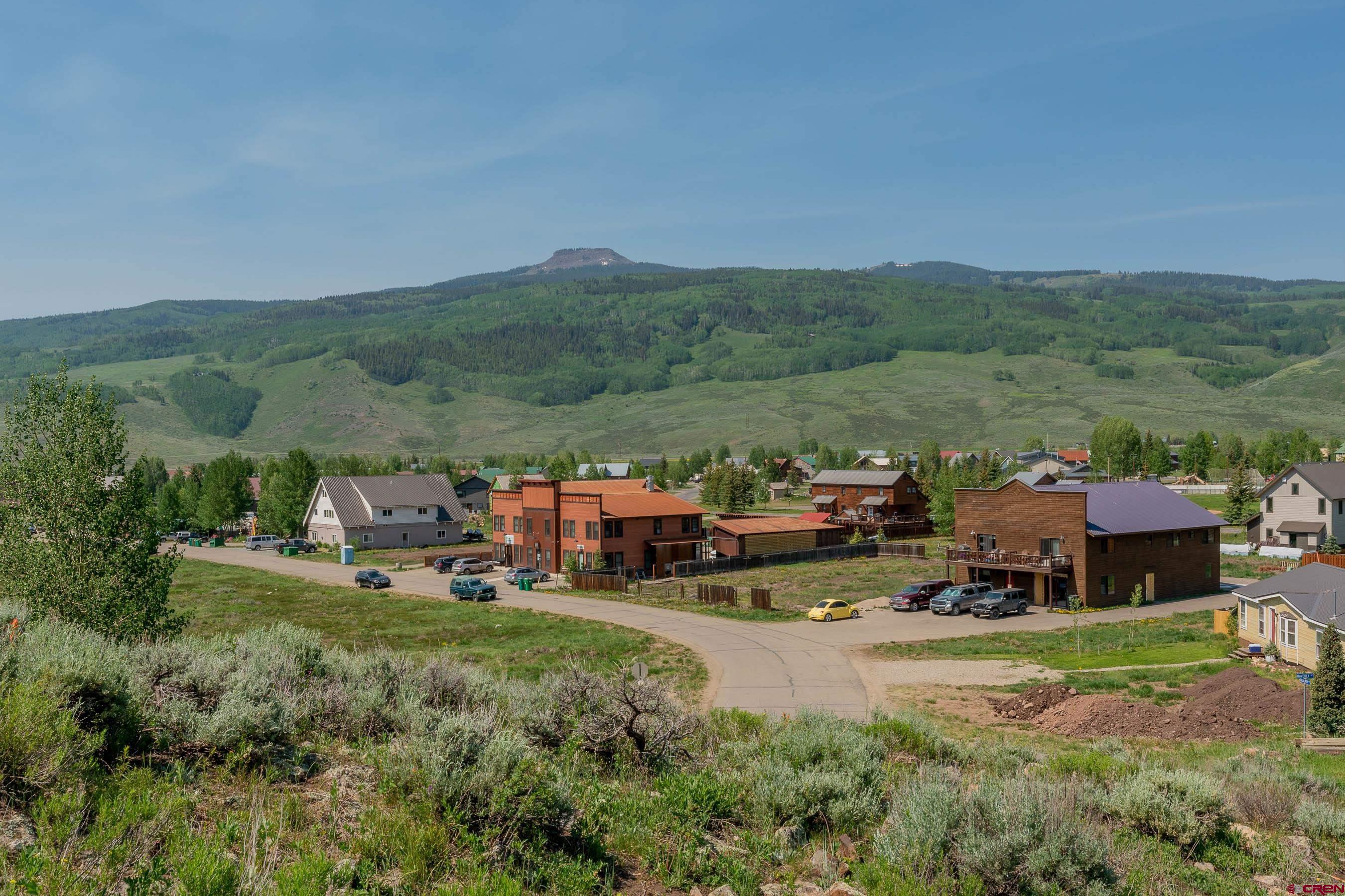 141 Haverly Street Crested Butte, CO 81224 - Photo 15 of 25 an aerial view of a house with garden
