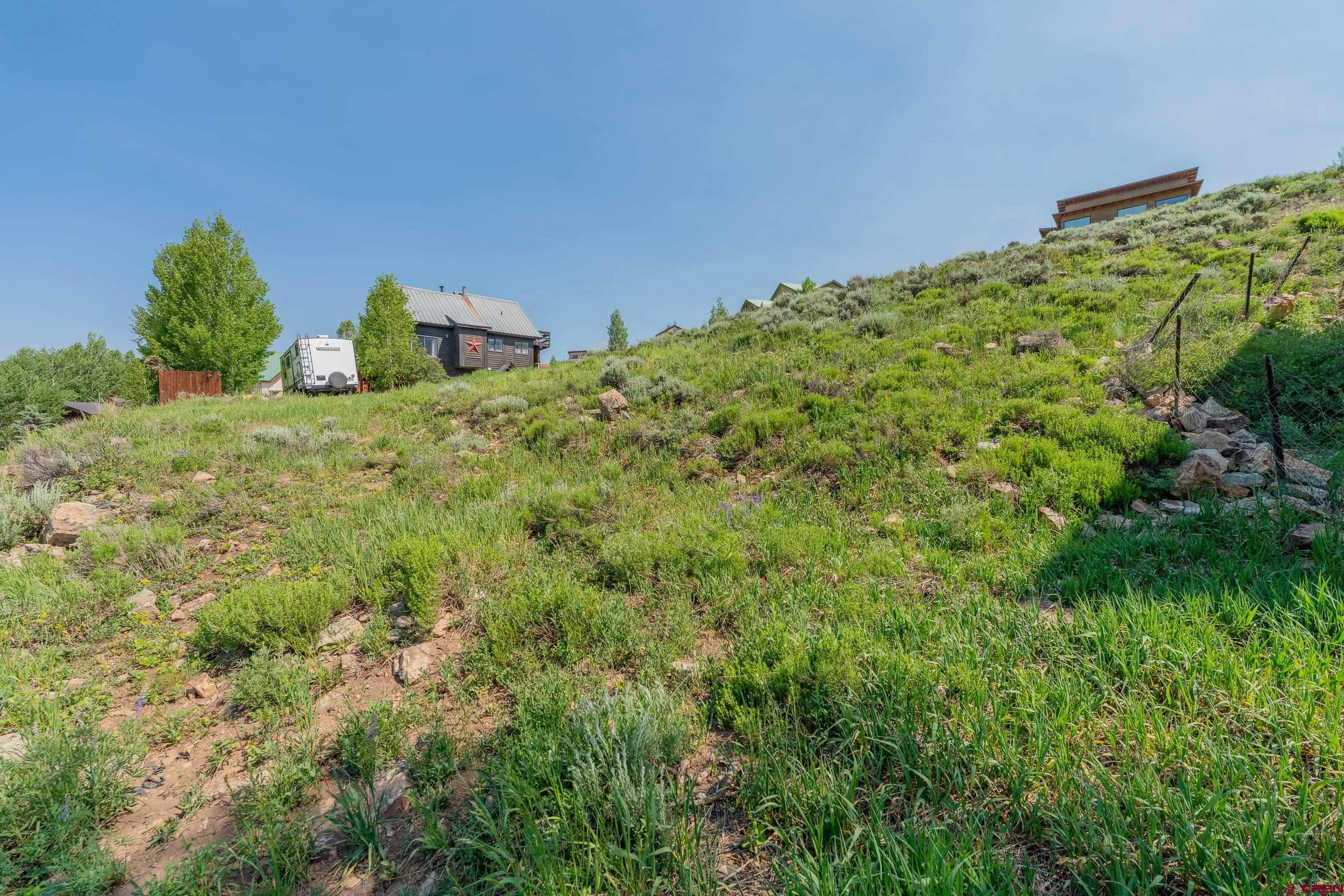 141 Haverly Street Crested Butte, CO 81224 - Photo 2 of 25 a view of a big yard with plants and large trees
