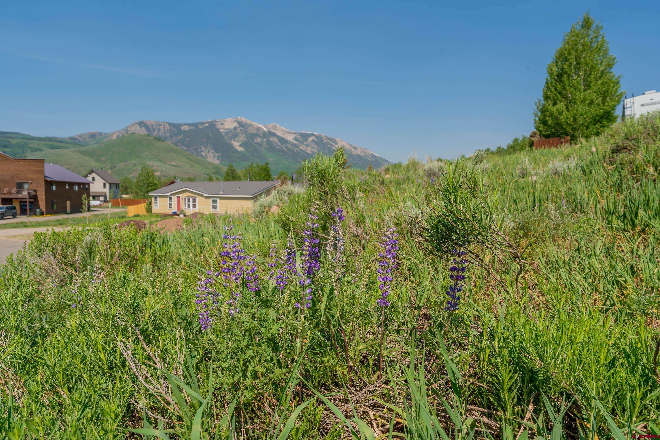 141 Haverly Street Crested Butte, CO 81224 - Photo 3 of 25 a view of a lush green field with lots of bushes