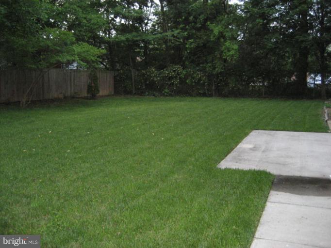 6711 Greendale Road Alexandria, VA 22310 - Photo 16 of 17 Exterior (Rear)