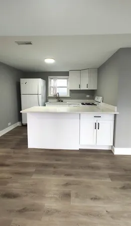 $1,650 | 3013 South Haynes Court, Unit 2F, Chicago, IL 60608