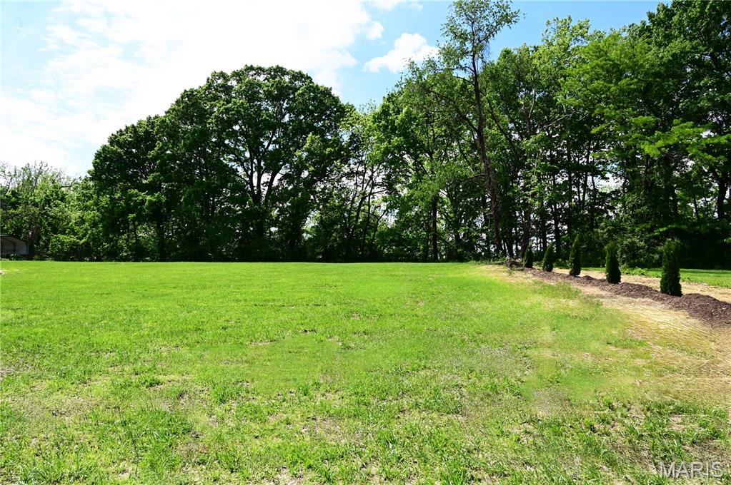 63 South Woods Mill Road Chesterfield, MO 63017 - Photo 9 of 19
