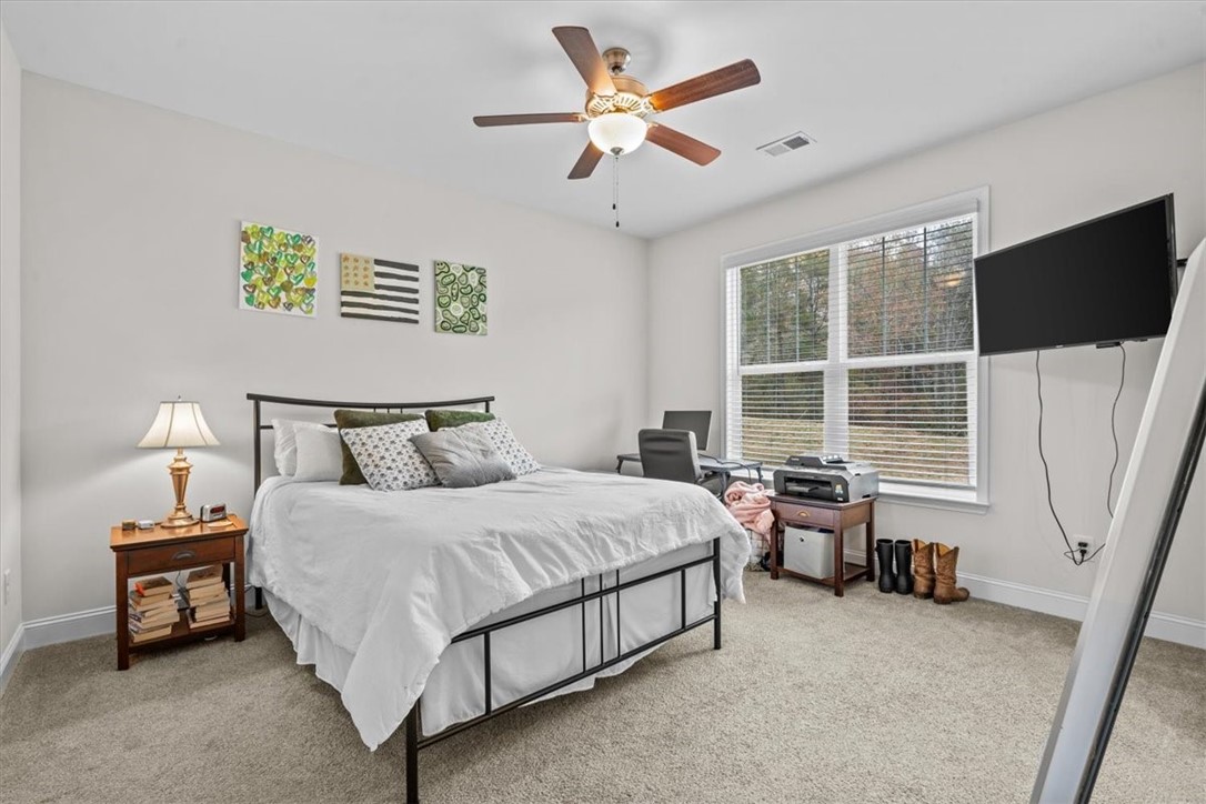 119 Capslock Trail Pendleton, SC 29670 - Photo 16 of 26