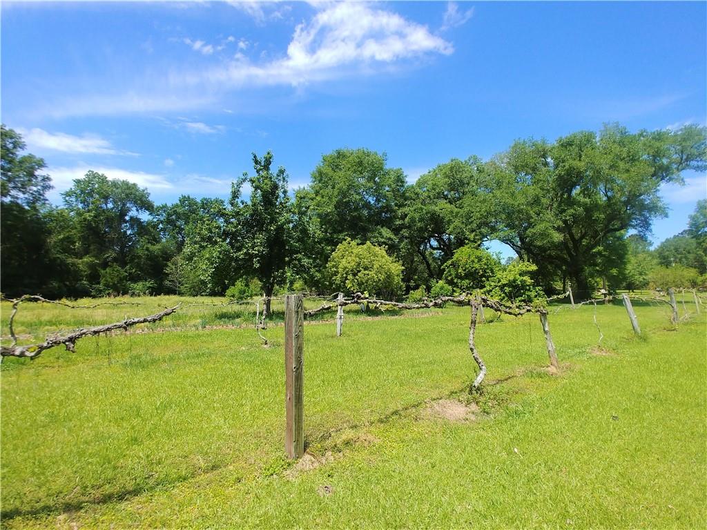 77307 Pennino Road Covington, LA 70435 - Photo 39 of 47 Gallery Image 39