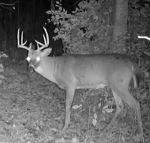 18258 Graham Road Waynesfield, OH 45896 - Photo 73 of 77