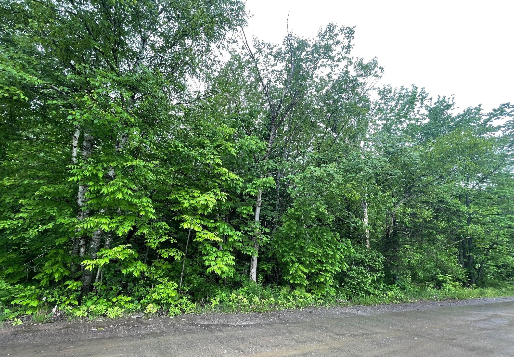 M1-l 11-3 Coboro Road Stetson, ME 04488 - Photo 1 of 7 1