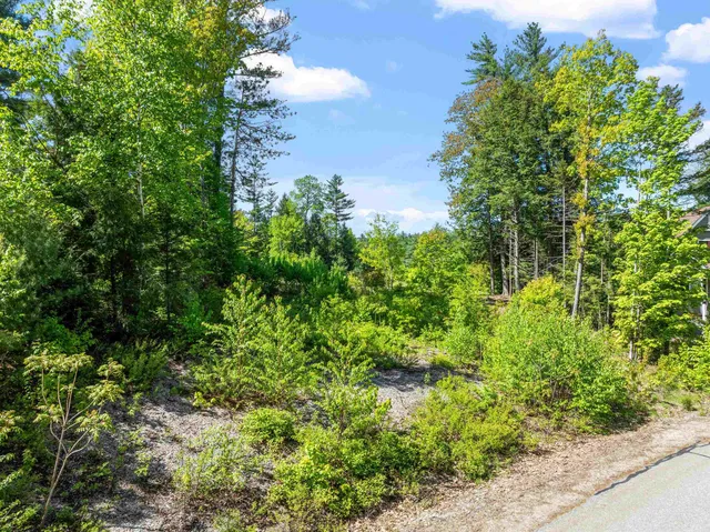 $295,000 | Lot 6 Edgewater Lane, Thornton, NH 03285