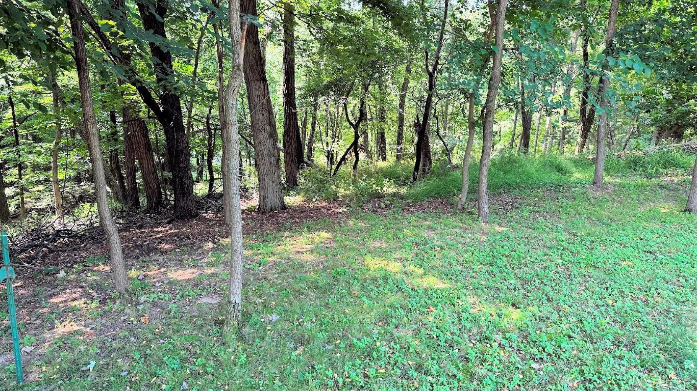 31 Eagles Nest Baraboo, WI 53913 - Photo 5 of 28