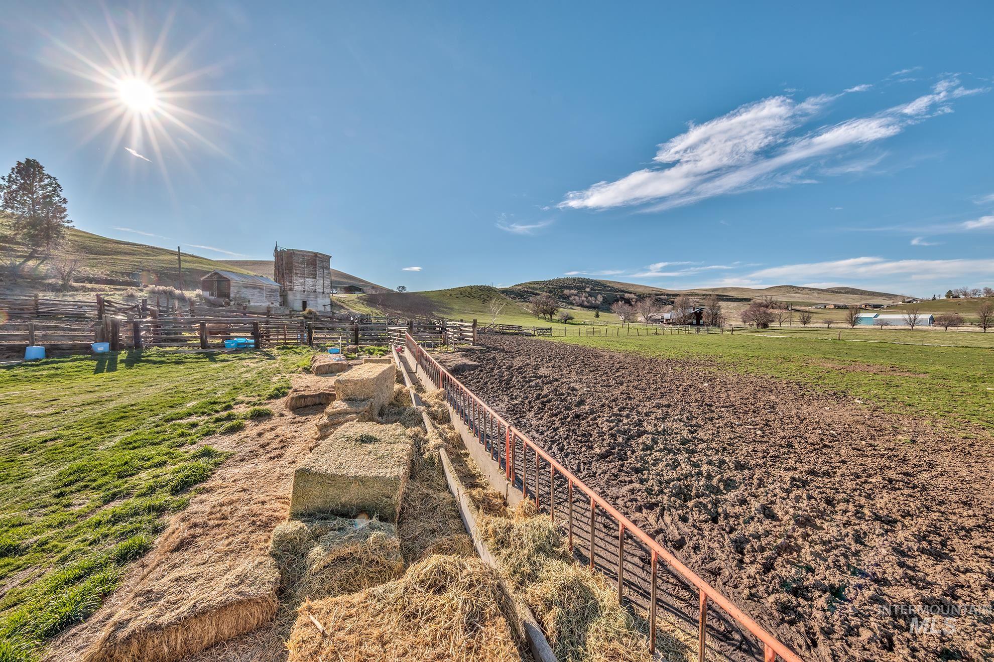 1365 Highway 95 Weiser, ID 83672 - Photo 31 of 34 View of yard with a view of rural / pastoral area and a mountain view