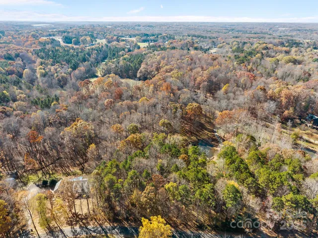 an aerial view of mountain with trees around