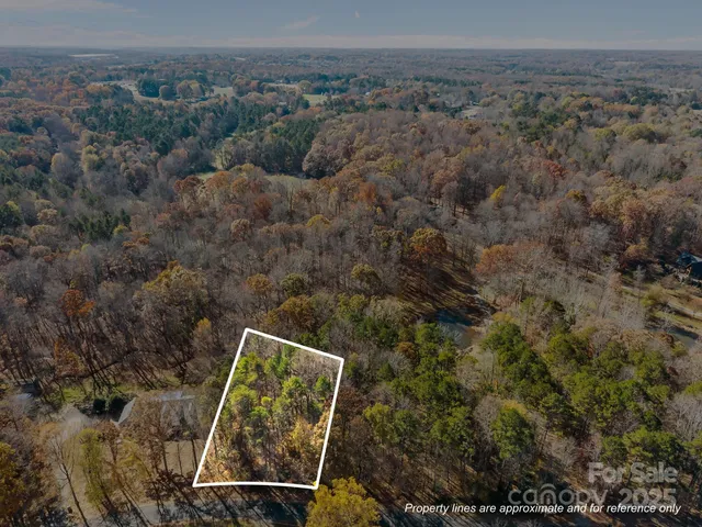 a view of a dry yard