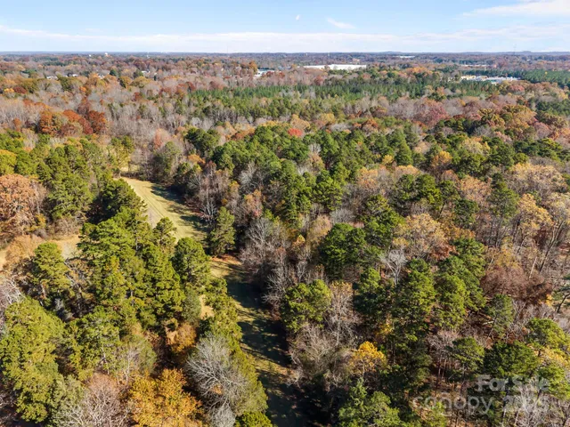 a view of a city with lush green forest