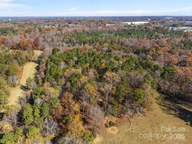 a view of a city with lush green forest