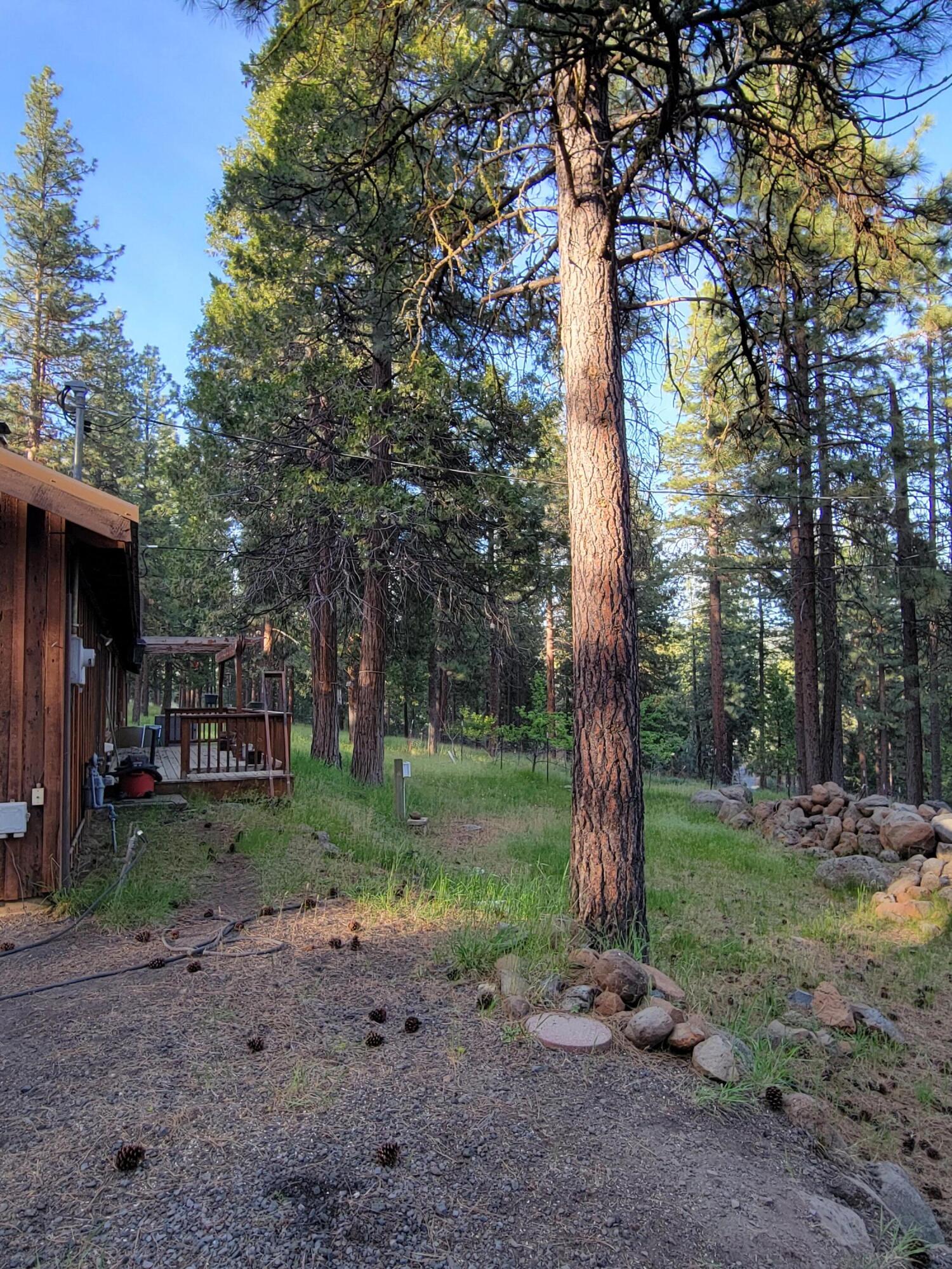 17411 Freight Rd Lane Klamath Falls, OR 97601 - Photo 4 of 19 Trees