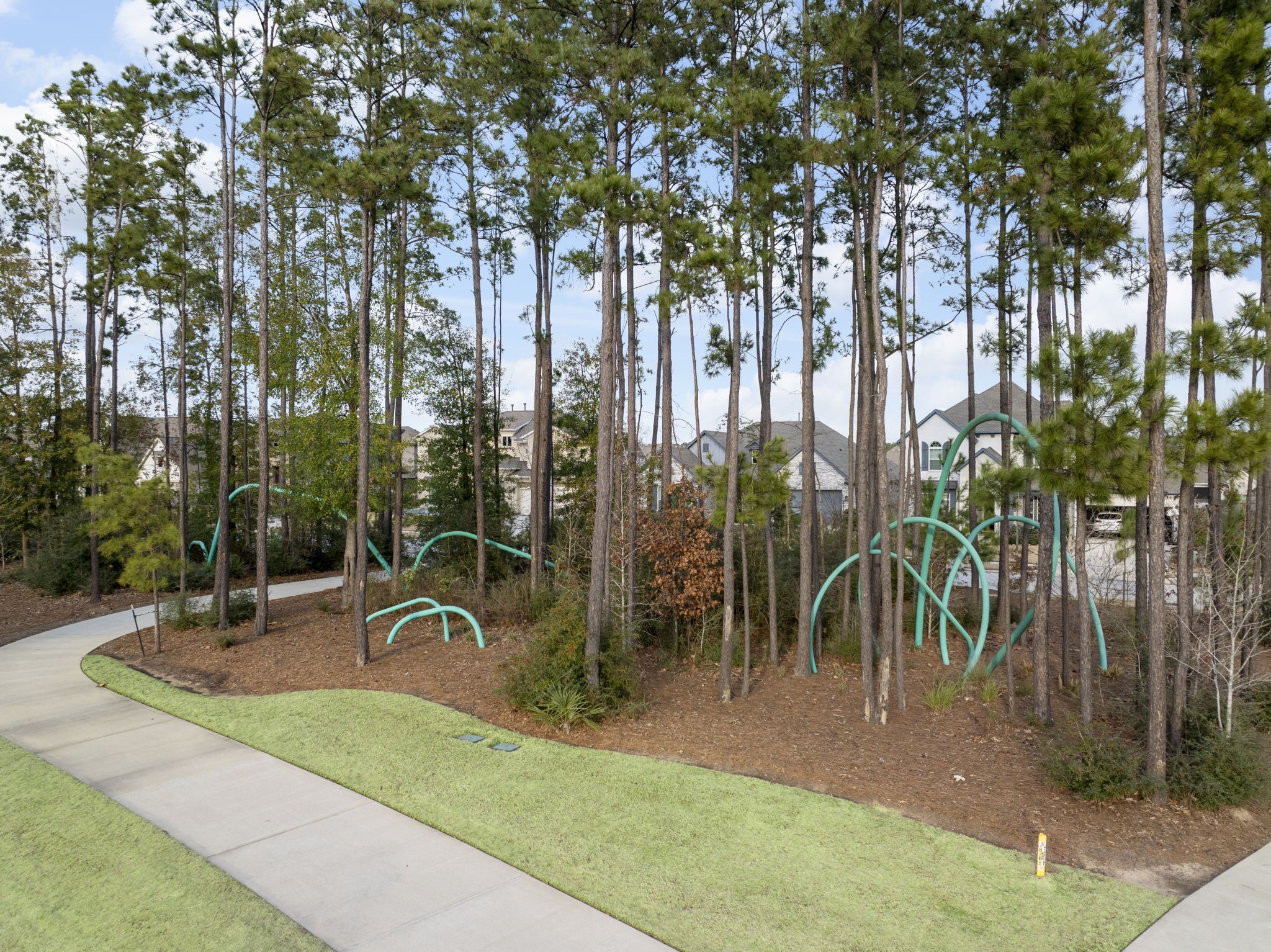15834 Moran Meadow Street Conroe, TX 77302 - Photo 41 of 41 a view of a park with plants and palm trees