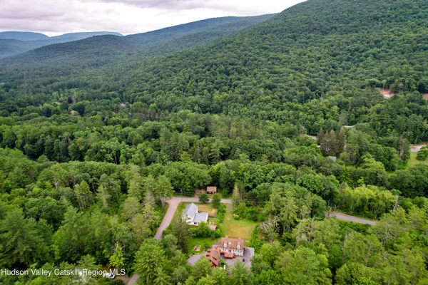 a view of a lush green forest with lots of trees
