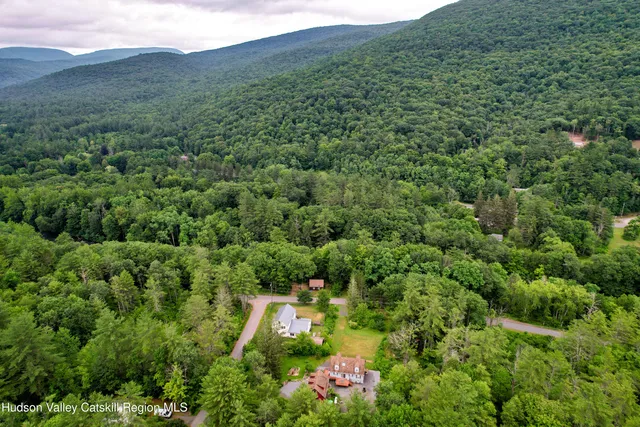 a view of a lush green forest with lots of trees