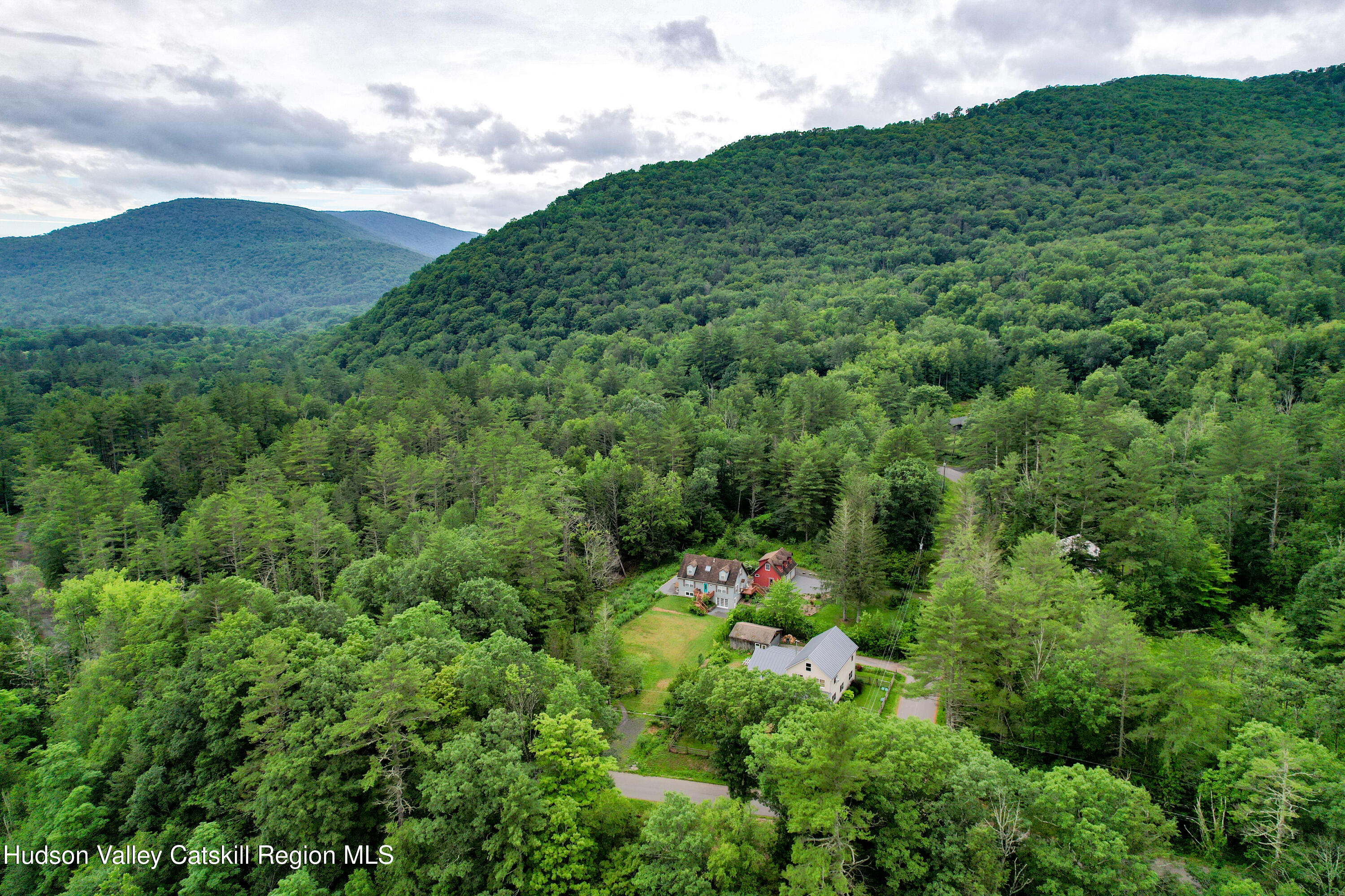68 Garfield Road Phoenicia, NY 12464 - Photo 36 of 43 a view of a lush green forest with lots of trees