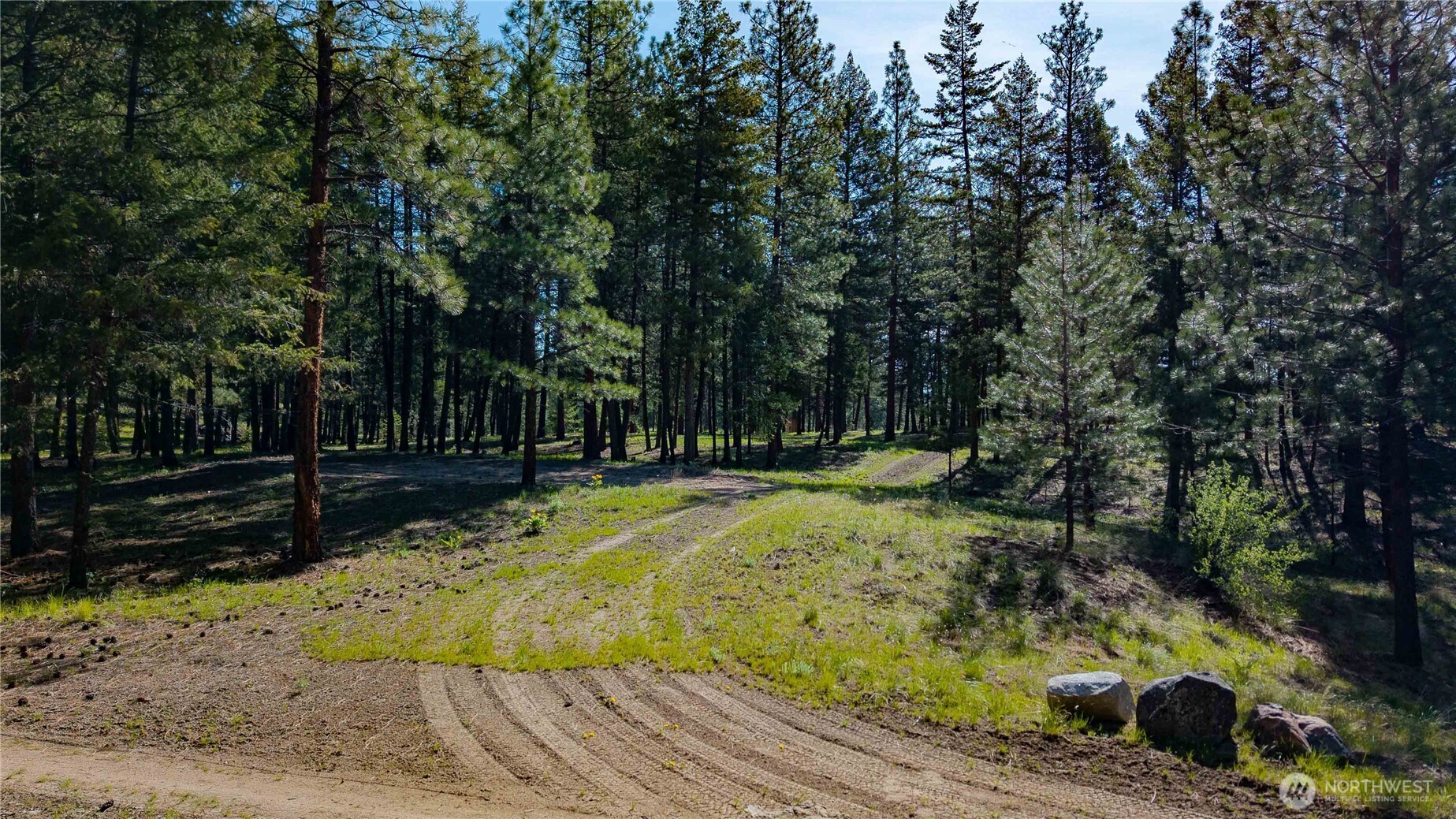 0 Mineral Hill Road Conconully, WA 98819 - Photo 18 of 30 Gallery Image 18