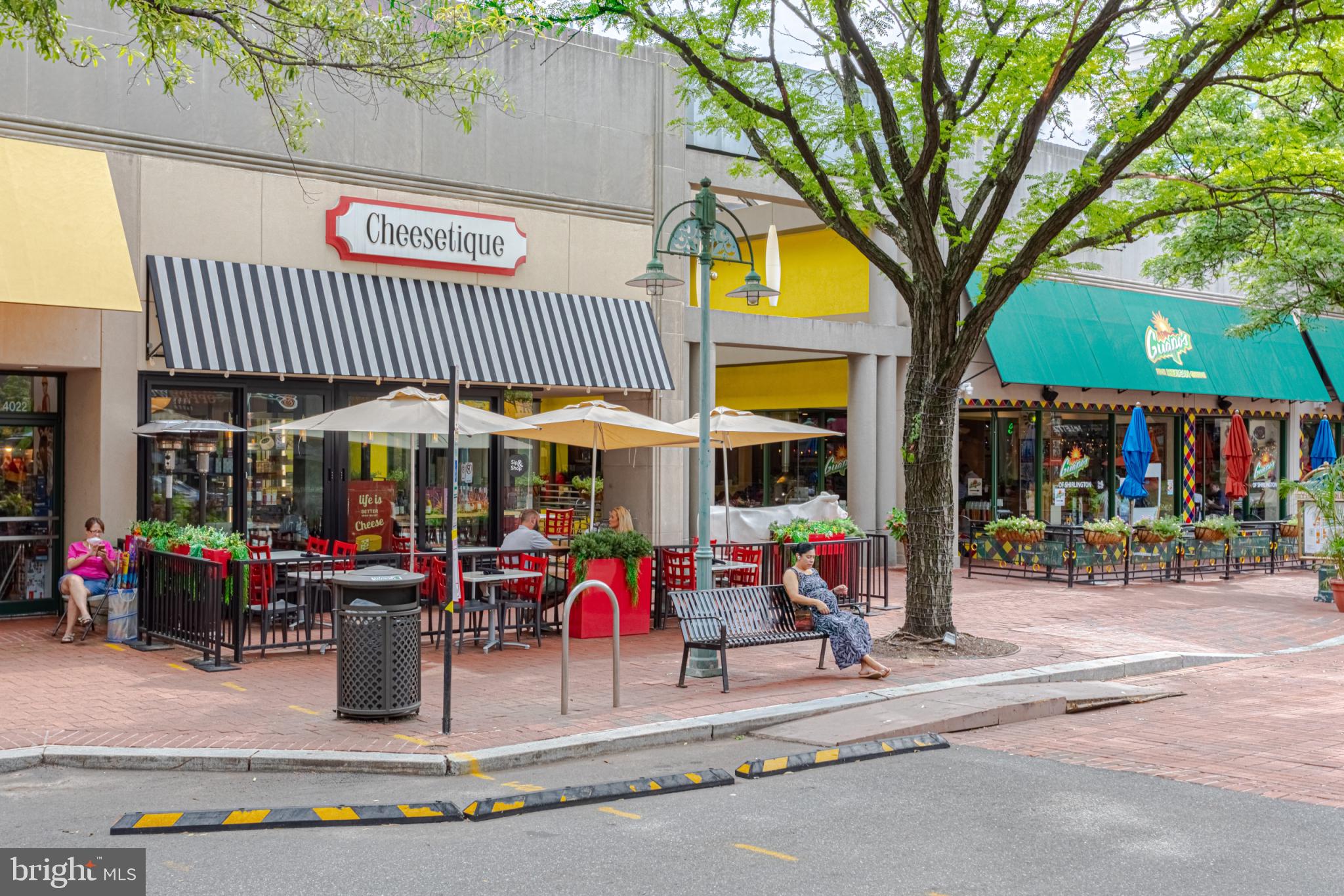 4914 29th Road South, Unit A2 Arlington, VA 22206 - Photo 50 of 54