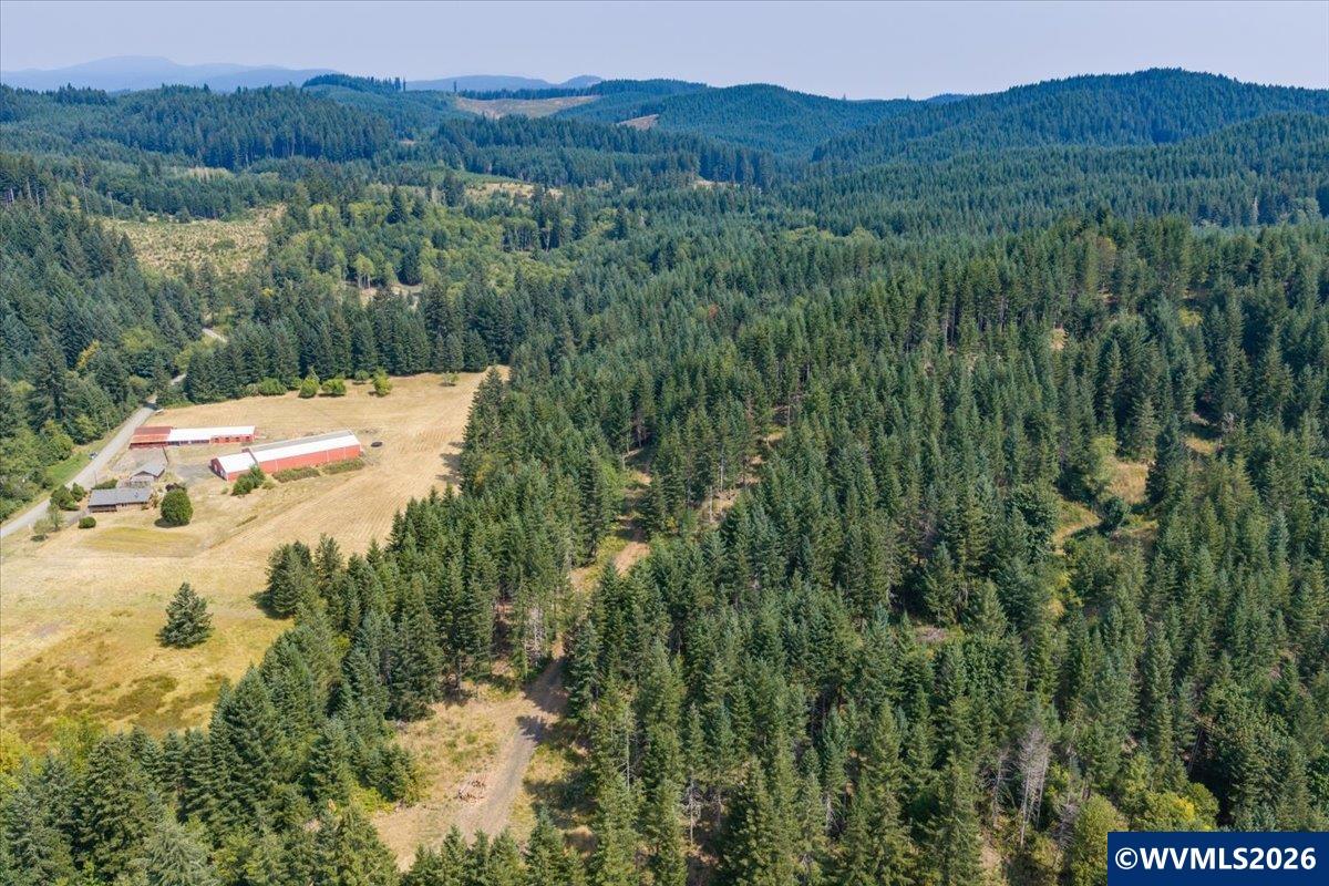 41662 Grover Road Blodgett, OR 97326 - Photo 15 of 21 Gallery Image 15