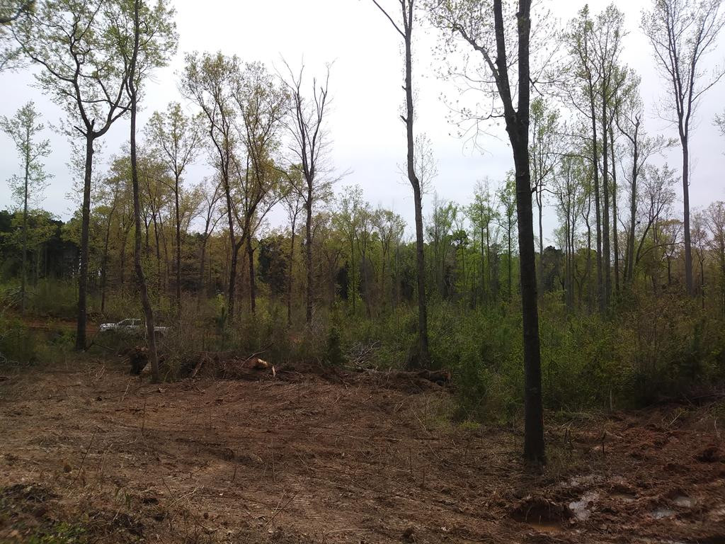 8 Neals Mill Road Dearing, GA 30808 - Photo 1 of 8 Main View