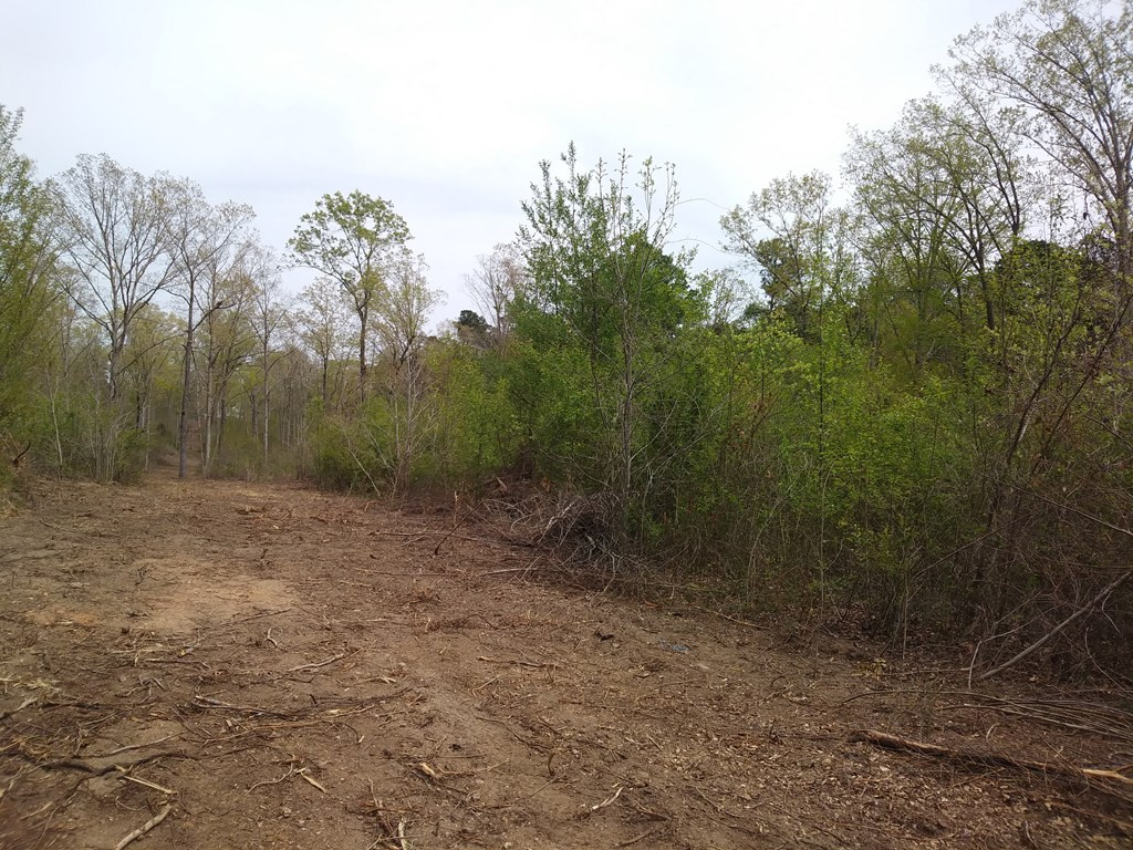 8 Neals Mill Road Dearing, GA 30808 - Photo 3 of 8