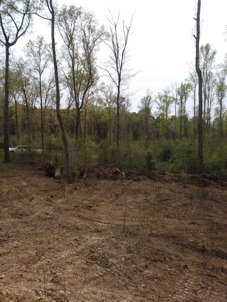 8 Neals Mill Road Dearing, GA 30808 - Photo 5 of 8