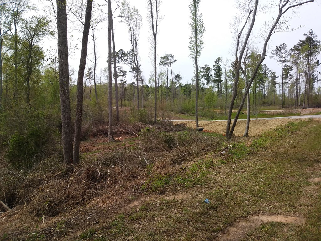 8 Neals Mill Road Dearing, GA 30808 - Photo 6 of 8