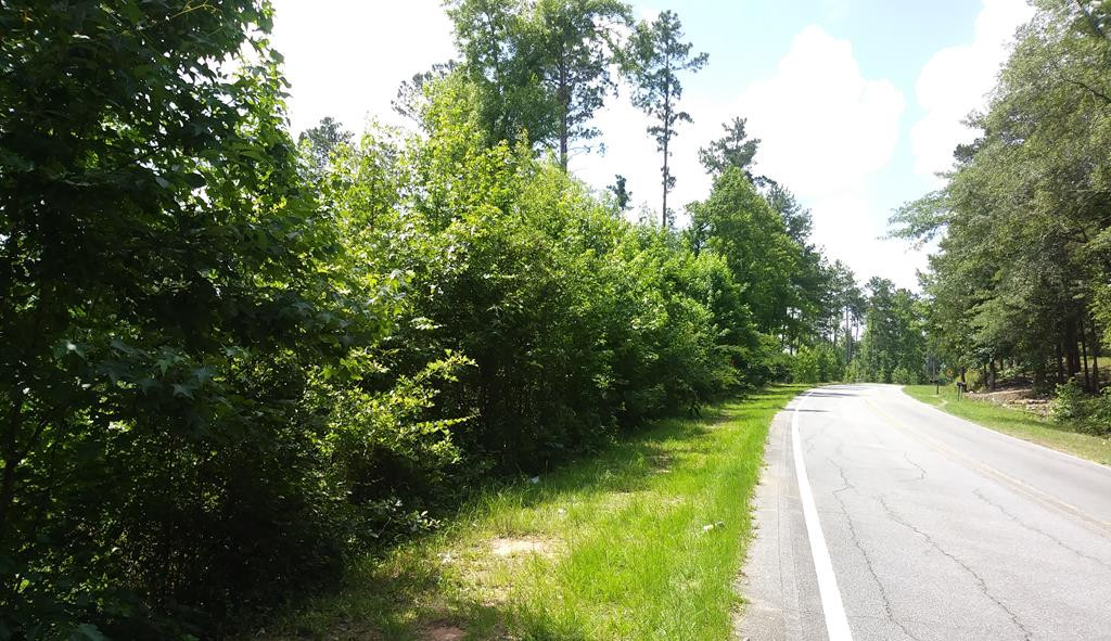8 Neals Mill Road Dearing, GA 30808 - Photo 7 of 8