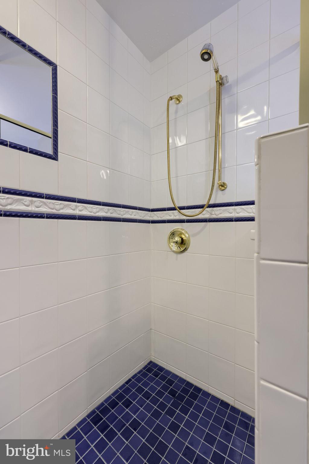 1262 Graystone Road Manheim, PA 17545 - Photo 27 of 59 First floor walk-in Shower