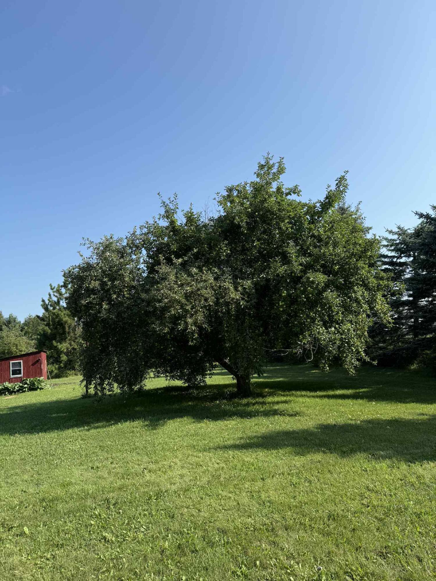 14878 Werth Road Lachine, MI 49753 - Photo 21 of 21 fa328057-f6a8-484a-98d4-a6442539c2fa