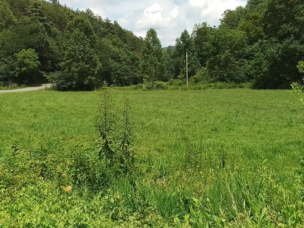 1378 S Morrow Road Murphy, NC 28906 - Photo 6 of 27