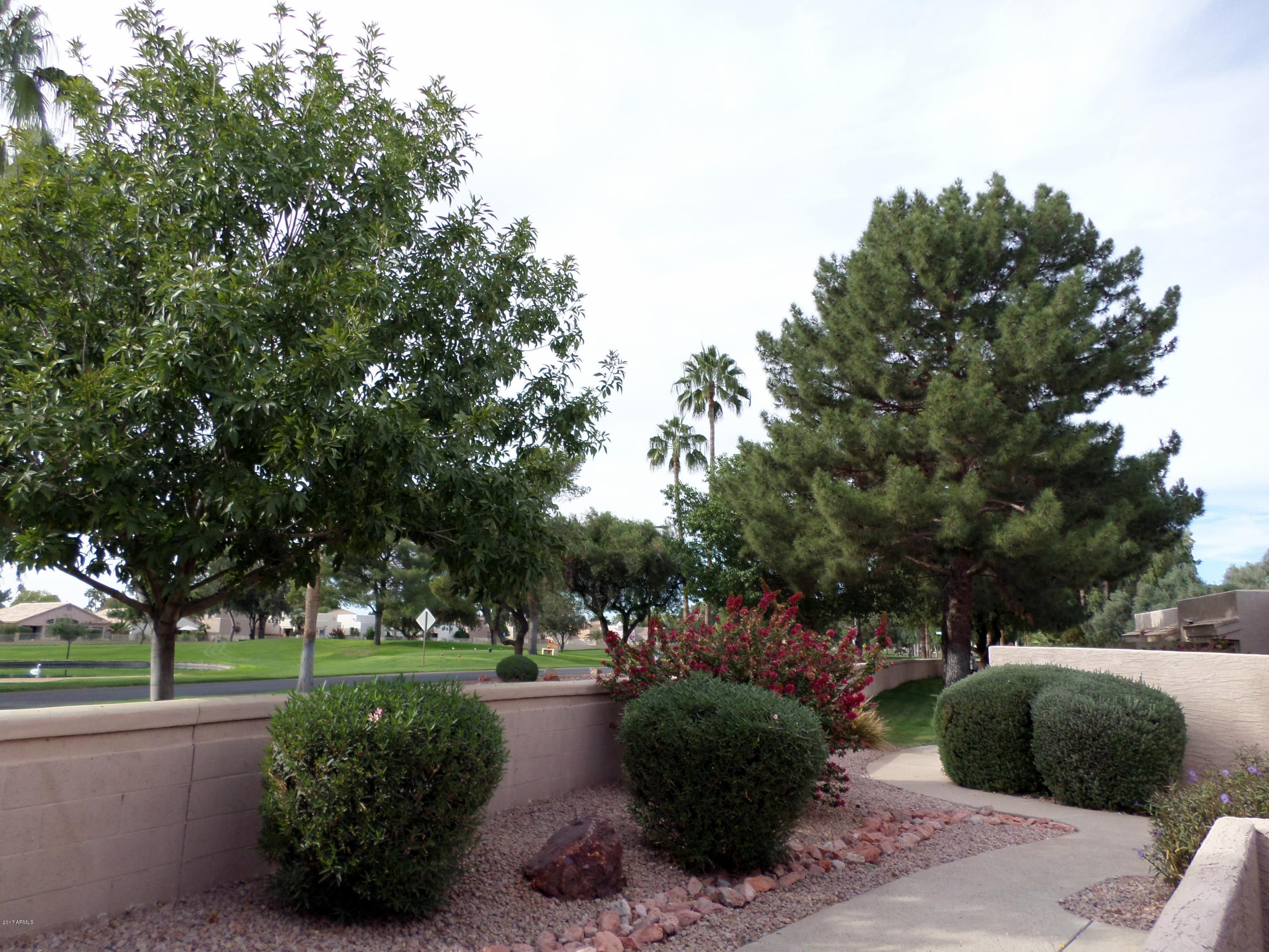 14300 West Bell Road, Unit 236 Surprise, AZ 85374 - Photo 18 of 29 SAM_0279A